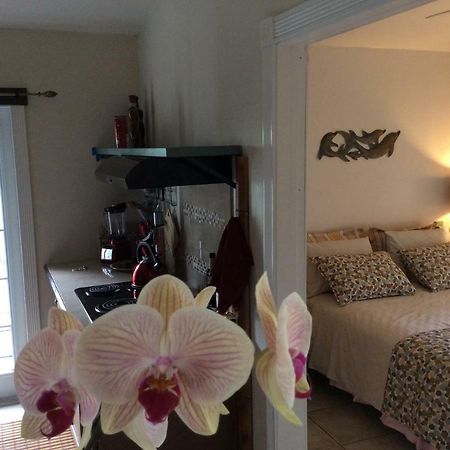 Mediteranean Style Ohana Rental / Garden Bungalow In Pahoa Honolulu Landing エクステリア 写真