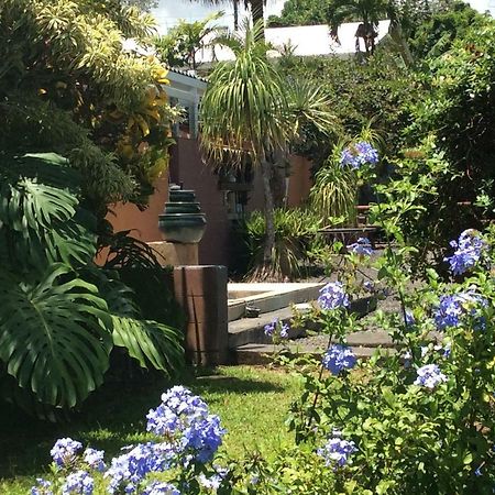 Mediteranean Style Ohana Rental / Garden Bungalow In Pahoa Honolulu Landing エクステリア 写真