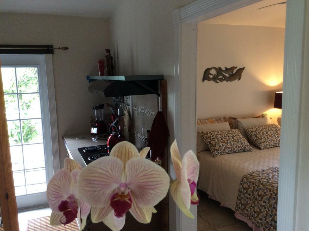 Mediteranean Style Ohana Rental / Garden Bungalow In Pahoa Honolulu Landing エクステリア 写真