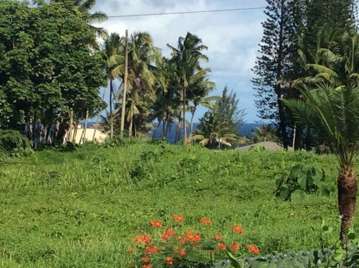 Mediteranean Style Ohana Rental / Garden Bungalow In Pahoa Honolulu Landing エクステリア 写真