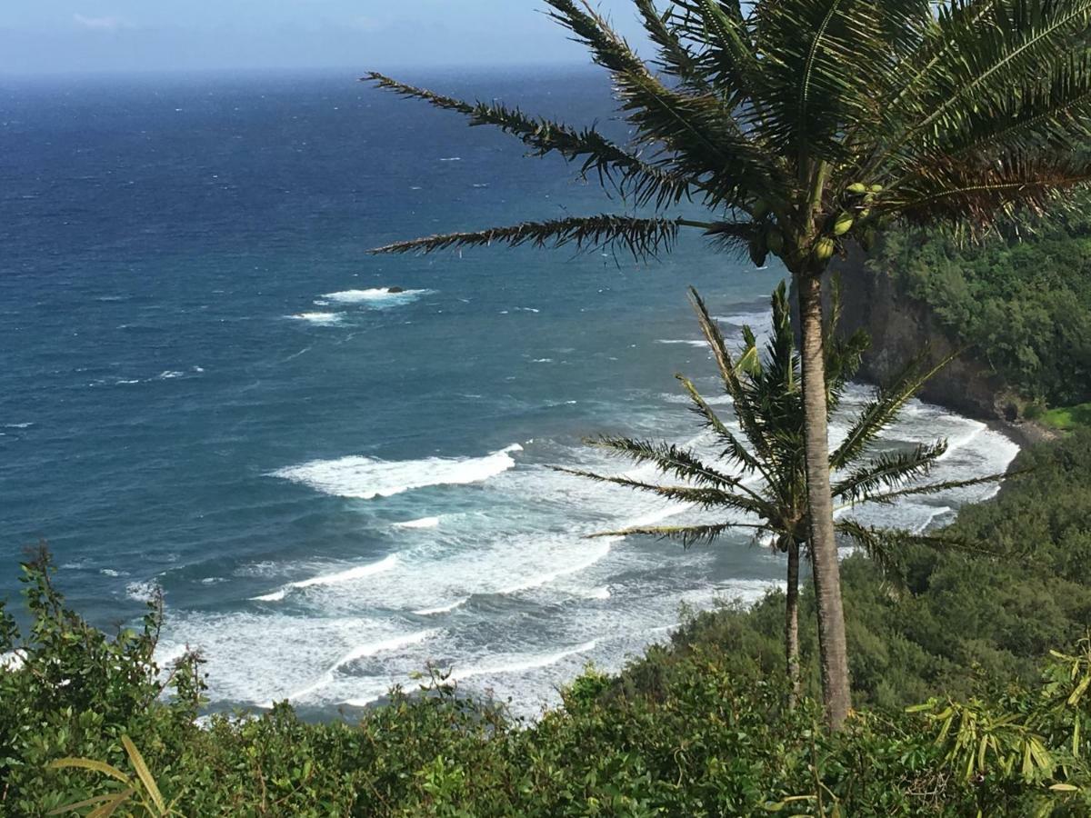 Mediteranean Style Ohana Rental / Garden Bungalow In Pahoa Honolulu Landing エクステリア 写真
