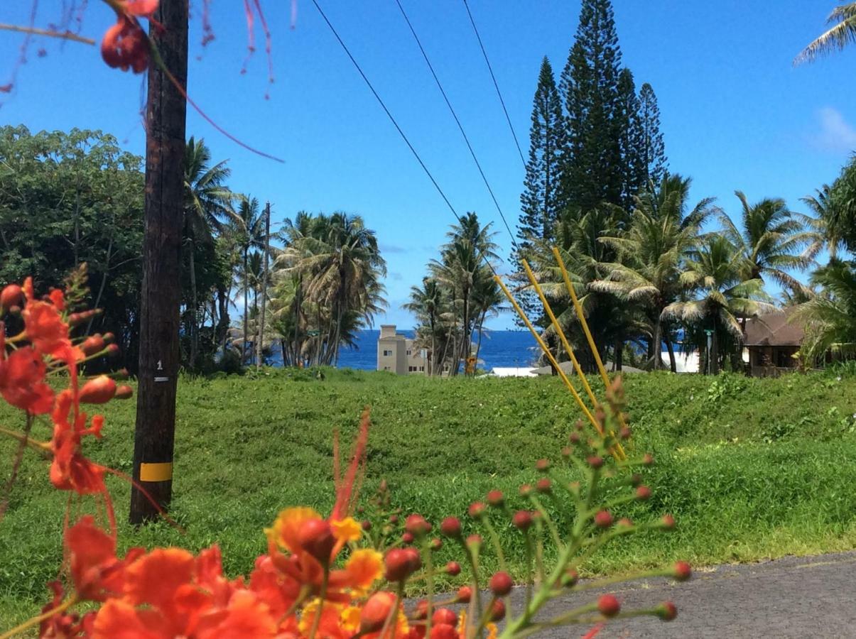 Mediteranean Style Ohana Rental / Garden Bungalow In Pahoa Honolulu Landing エクステリア 写真